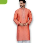 Easy Karchupi Panjabi